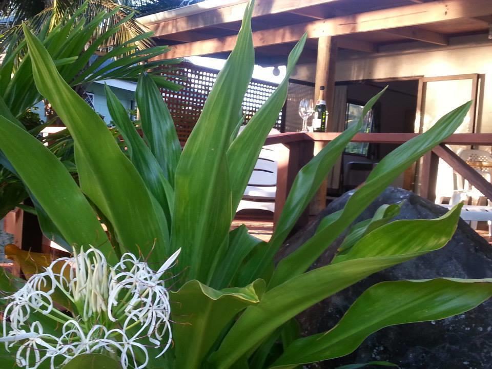 Sunset Palms Rarotonga Hotel ภายนอก รูปภาพ